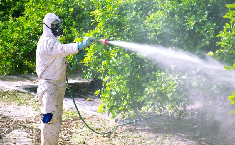 Pest Fumigation Service in Katy, TX