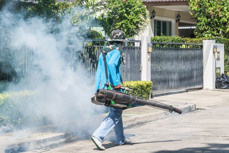 Rat Fumigation Service in Fredericksburg, VA