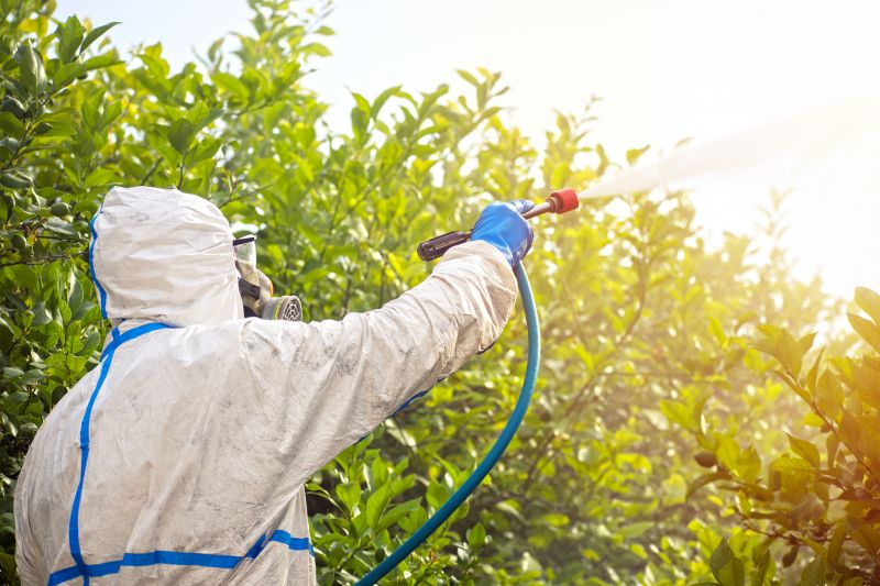 Commercial Fumigation in Naperville, IL