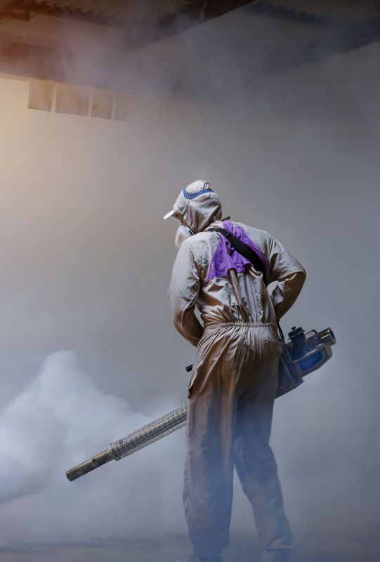 Rat Fumigation Service in Long Island, NY