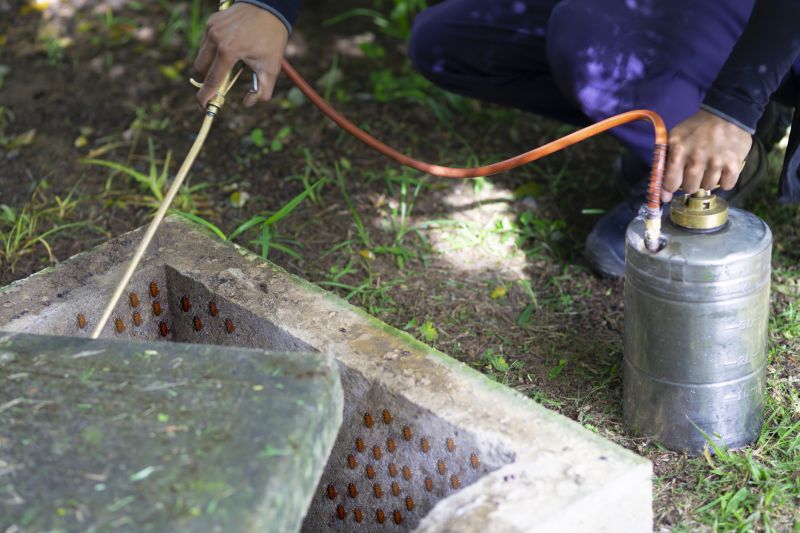 Spider Fumigation Service in Asheville, NC